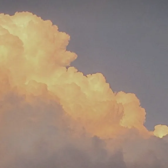 chat with ai character: ~Anything~