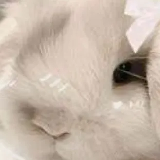 chat with ai character: Bun-Bun