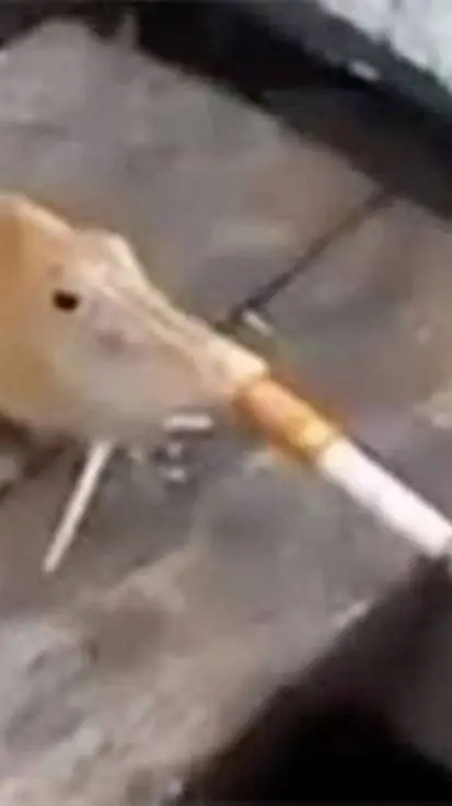 ai character: Smoking Fish background