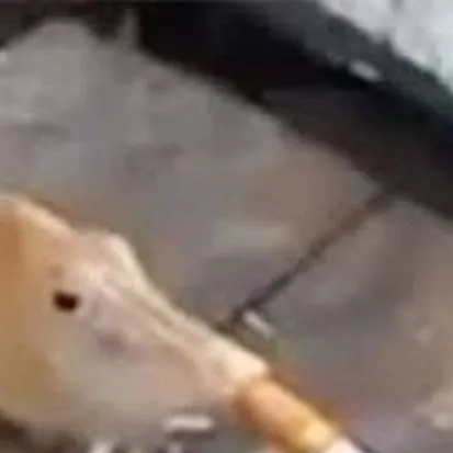 chat with ai character: Smoking Fish