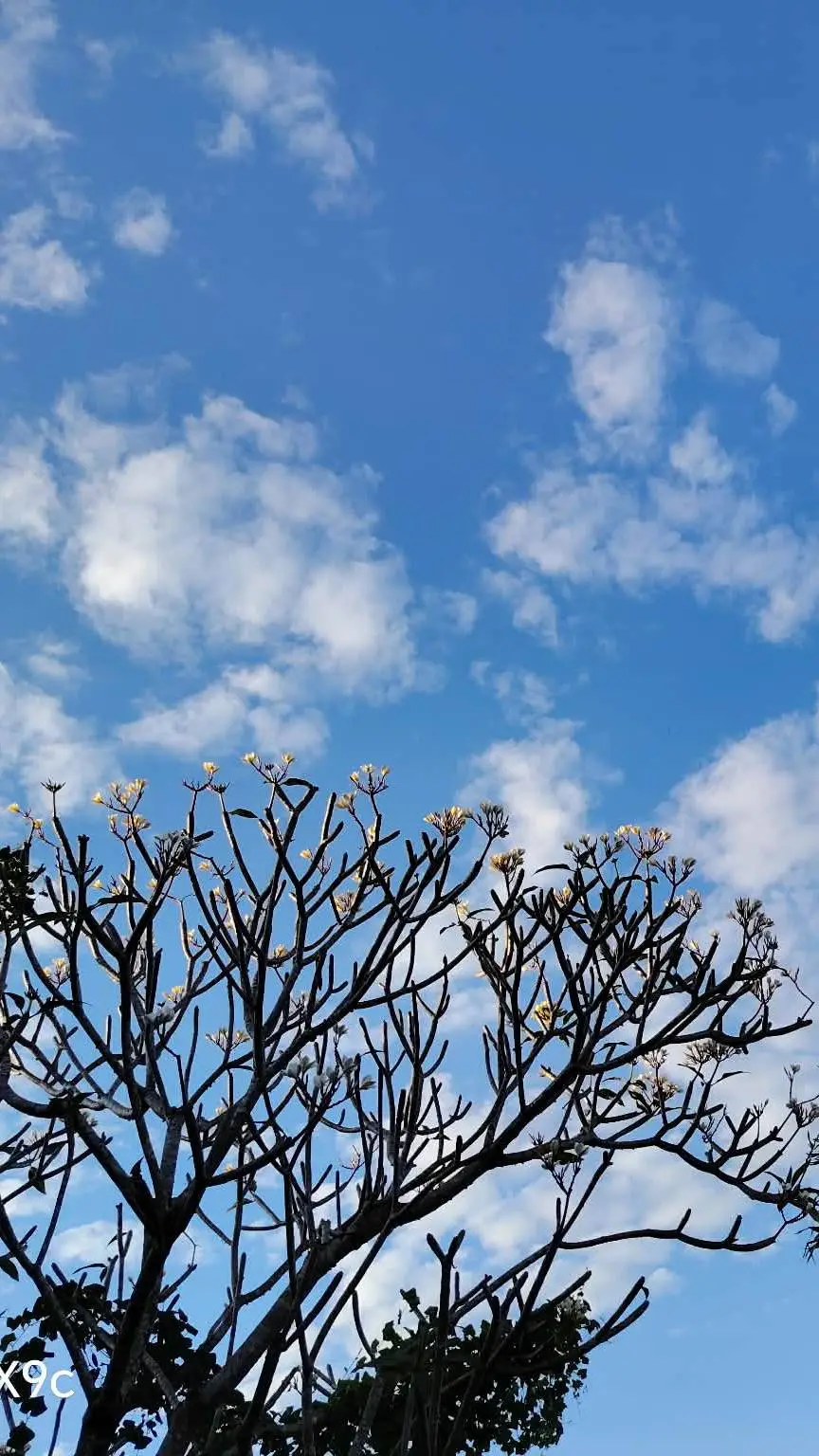 ai character: CRK Beasts background