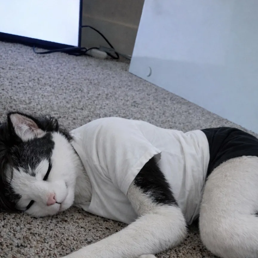 chat with ai character: Furry 