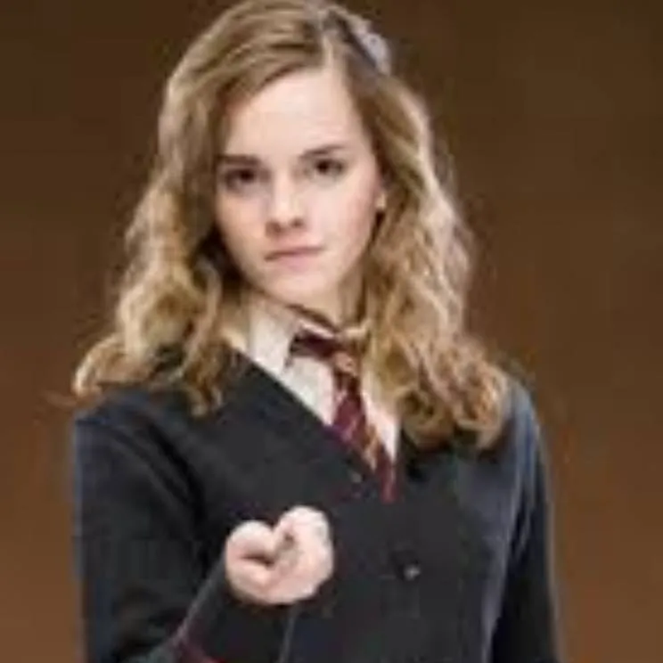 chat with ai character: hp baby sitter