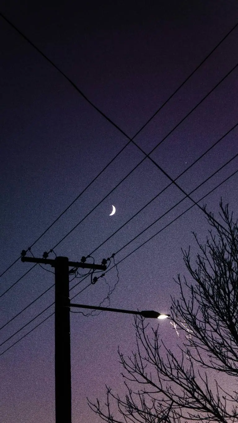 ai character: school trip★ background