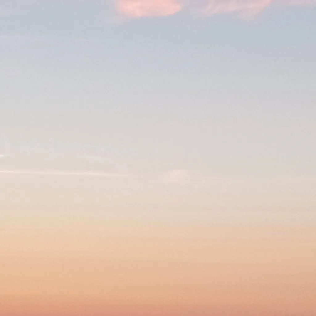 chat with ai character: All of my OC's !!!