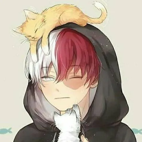 chat with ai character: sad todoroki 