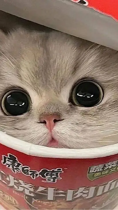 ai character: Юкка background