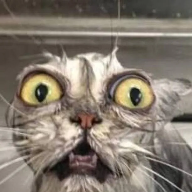 chat with ai character: scary cat