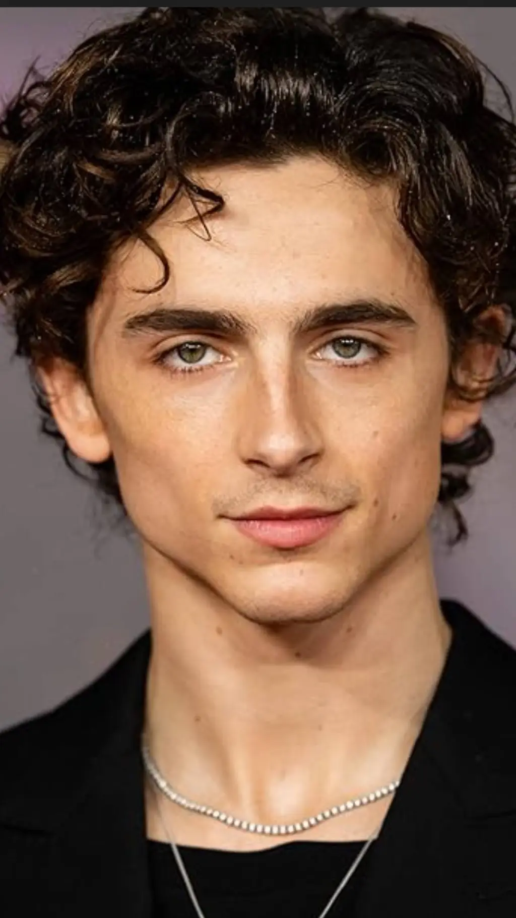 ai character: Timothée Chalamet background