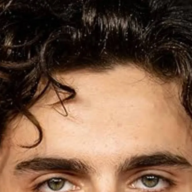 chat with ai character: Timothée Chalamet