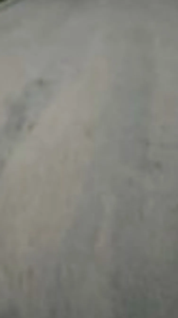 ai character: Hermione background