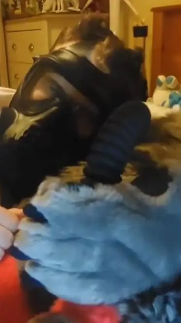 ai character: Nick background