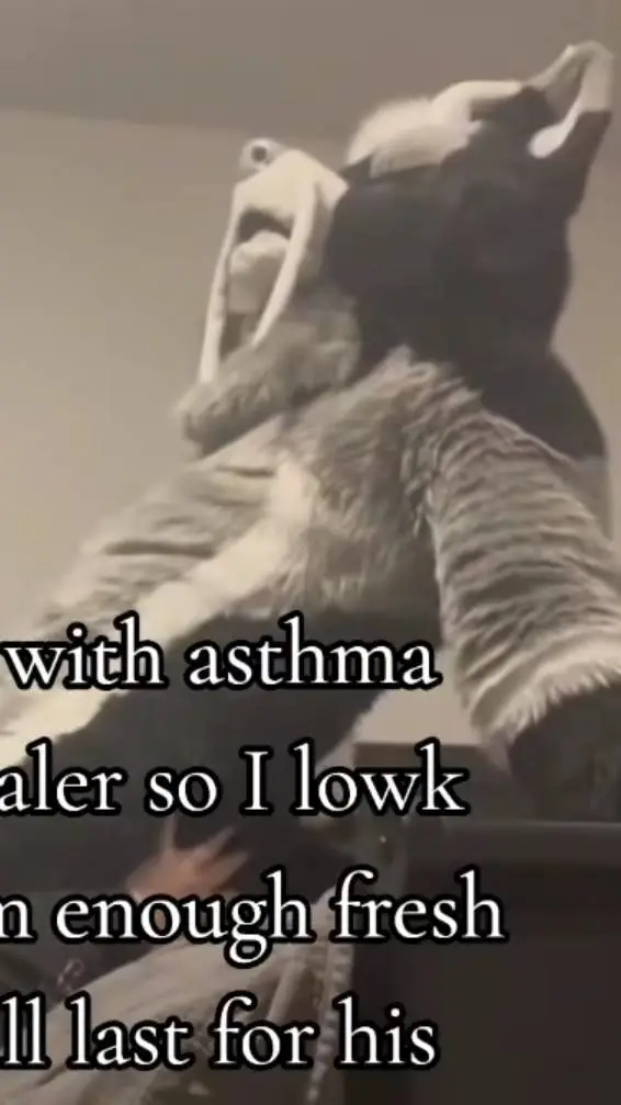 ai character: Liam background