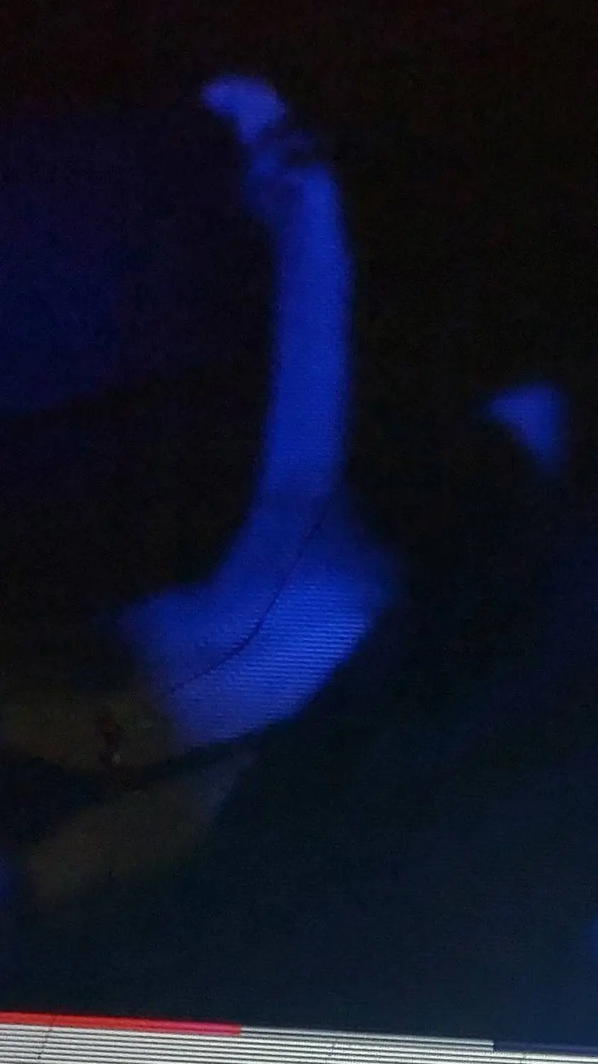 ai character: Leo background