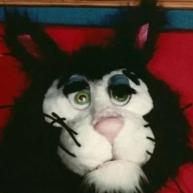 chat with ai character: Crusty the cat