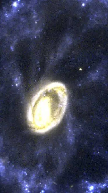 ai character: Cod & Ghostface  background