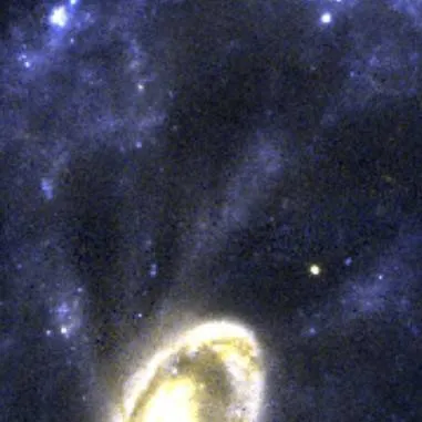 chat with ai character: Cod & Ghostface 