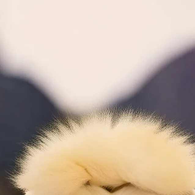 chat with ai character: APT dog