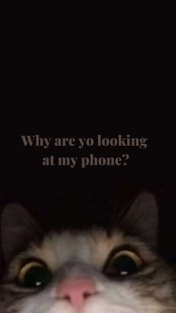 ai character: Angry cat  background