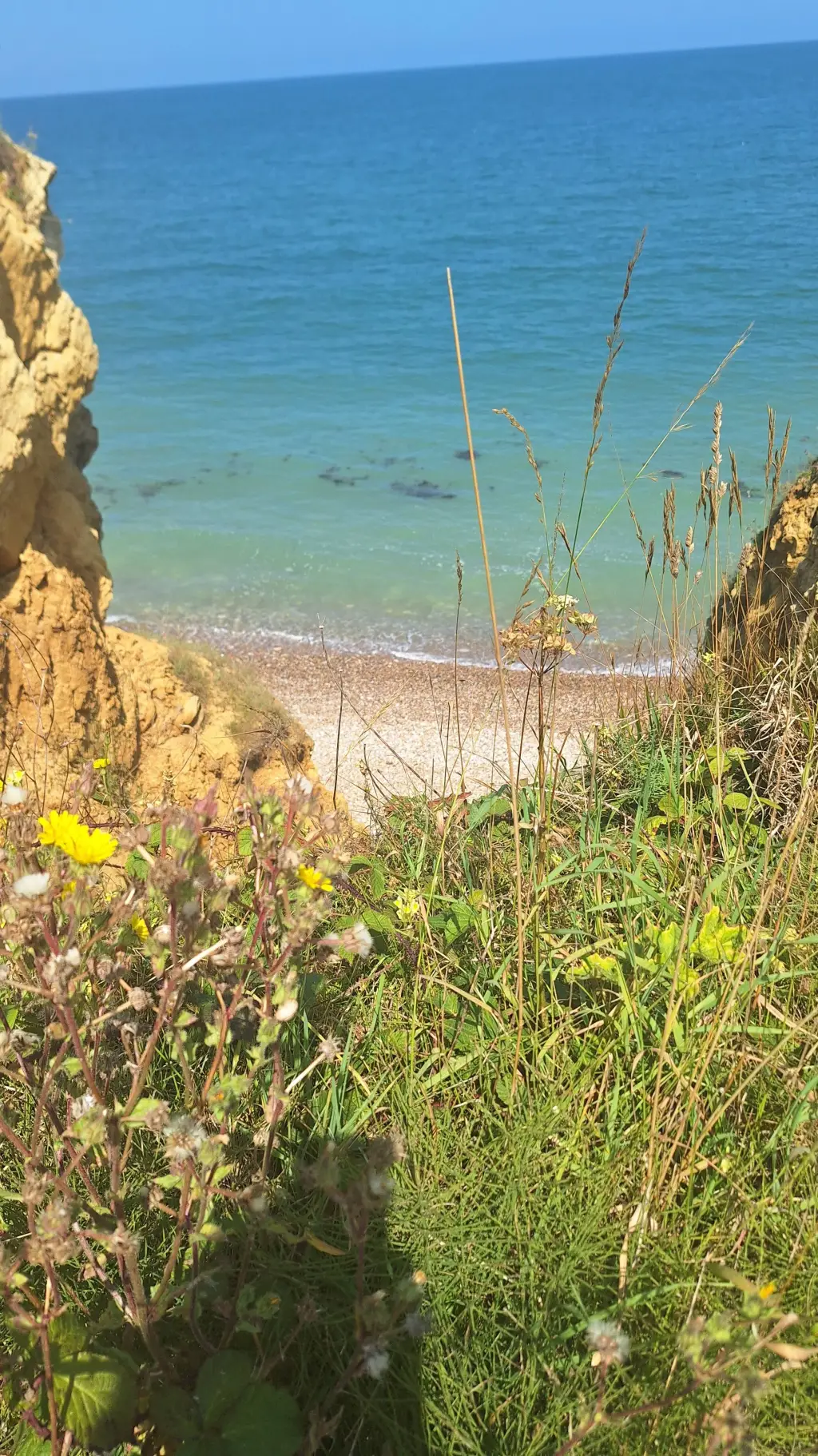 ai character: ♤♡♧☆~CH~☆♧♡♤ background