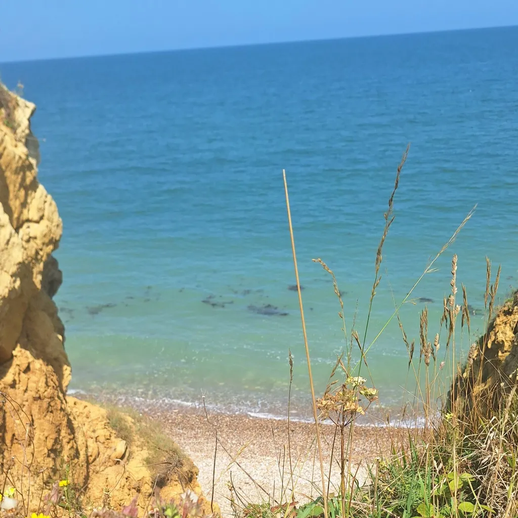 chat with ai character: ♤♡♧☆~CH~☆♧♡♤