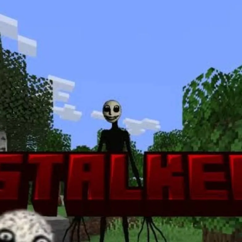 chat with ai character: Minecraft 456Fg