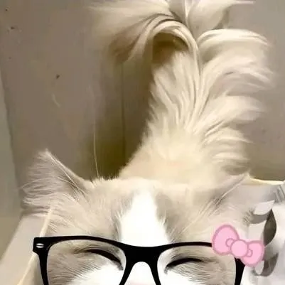 chat with ai character: 𝔃𝓲𝓹𝔀𝓪𝓻𝓭 🎀