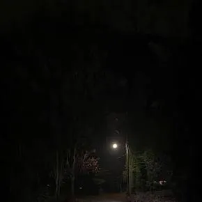 chat with ai character: Idk