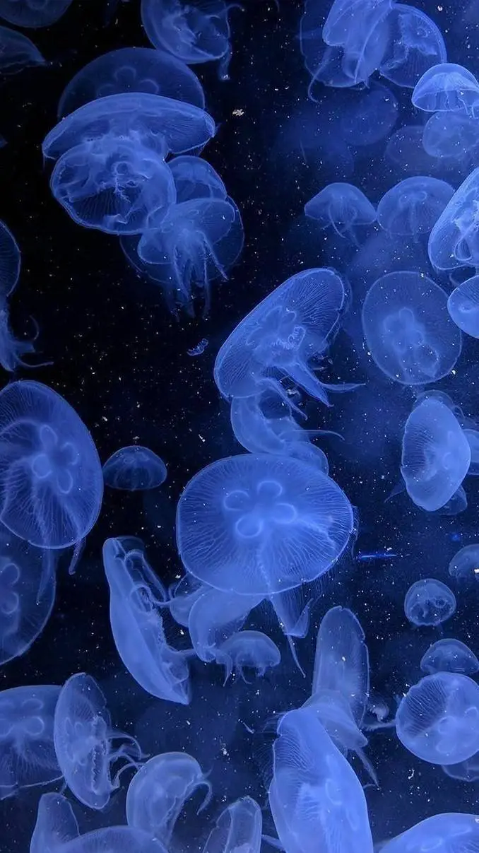 ai character: ¿cambio de cuerpo? background