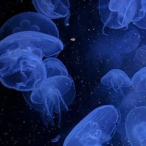 chat with ai character: ¿cambio de cuerpo?