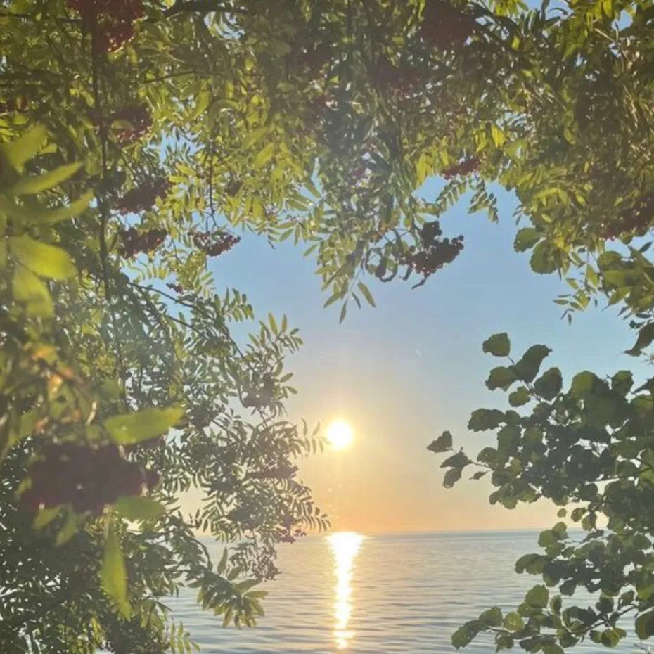 chat with ai character: ‼️🔥Redson🌼