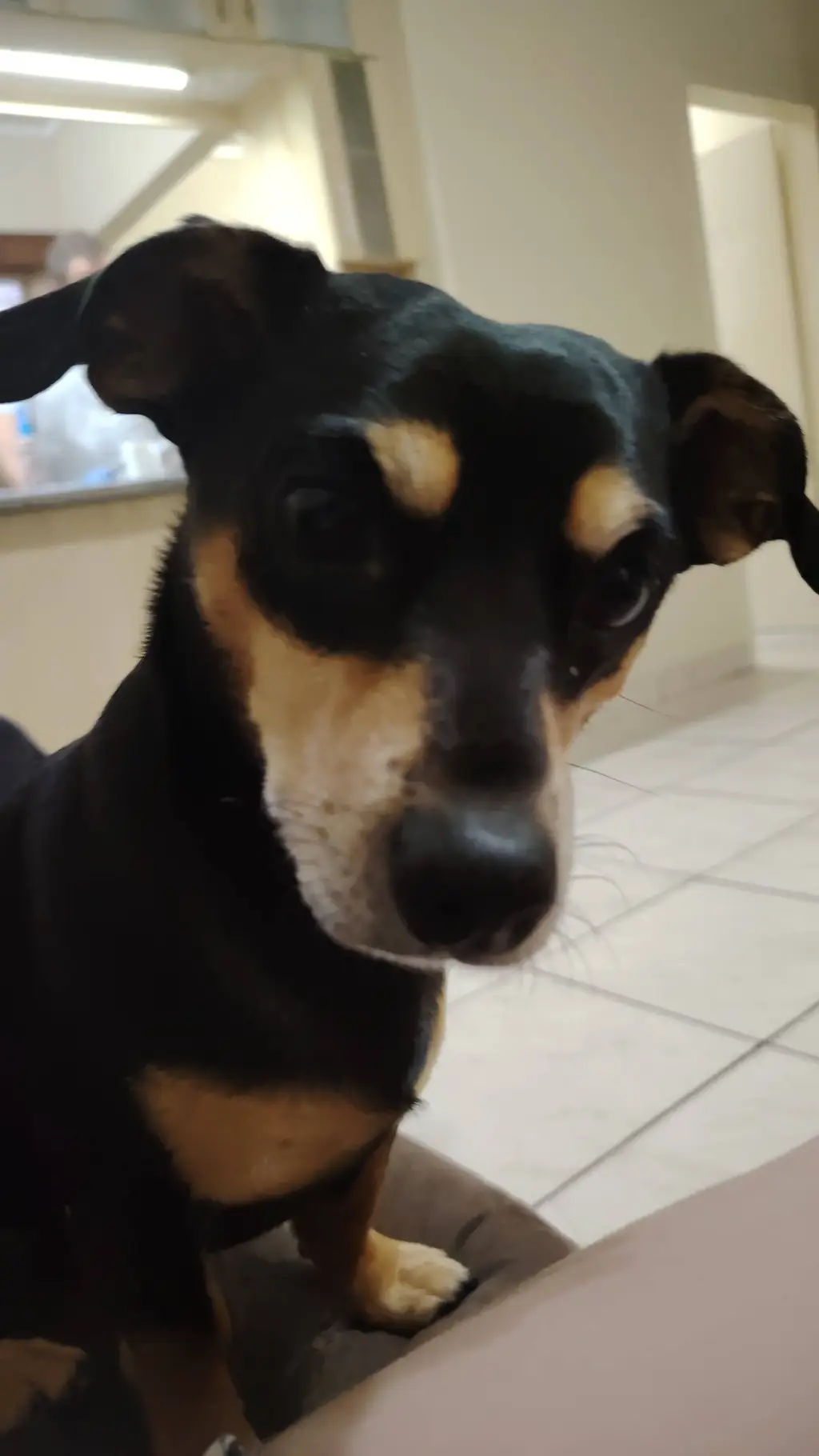 ai character: milo background