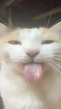 ai character: I NEED IDEAS!! background