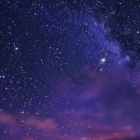 chat with ai character: 1x hates shed(ofc)