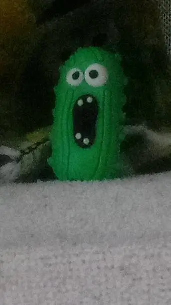 ai character: PICKLE background