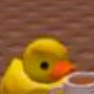 chat with ai character: Sg trip🌹