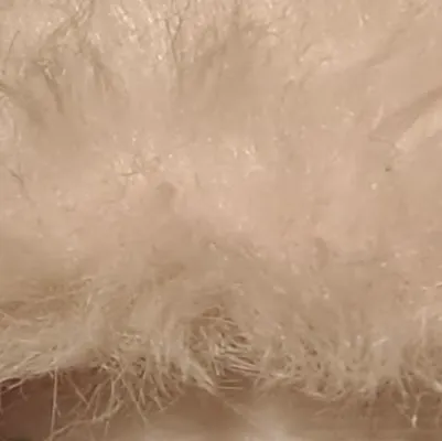 chat with ai character: SKZ KINDOM SHOW