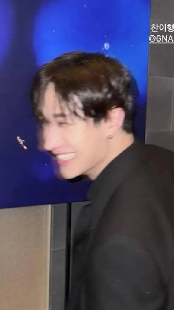 ai character: 🍔🍍BANG.CHAN🍍🍔 background