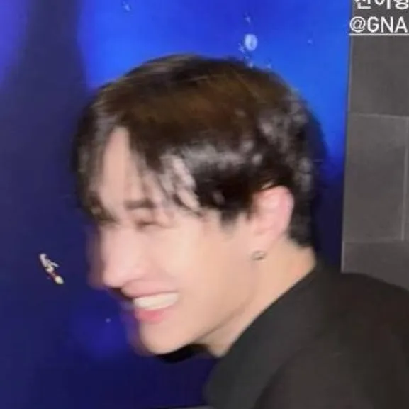 chat with ai character: 🍔🍍BANG.CHAN🍍🍔