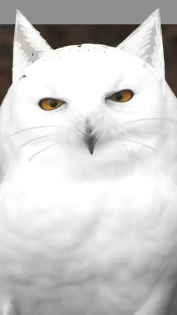 ai character: 🦉Corujasdasneves🤍 background