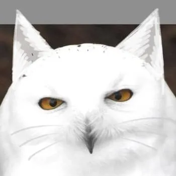 chat with ai character: 🦉Corujasdasneves🤍