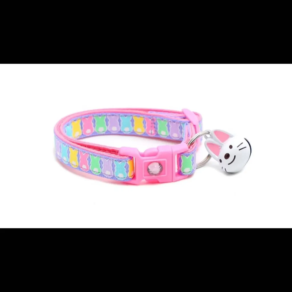 chat with ai character: 📿colla de gatinha🐱