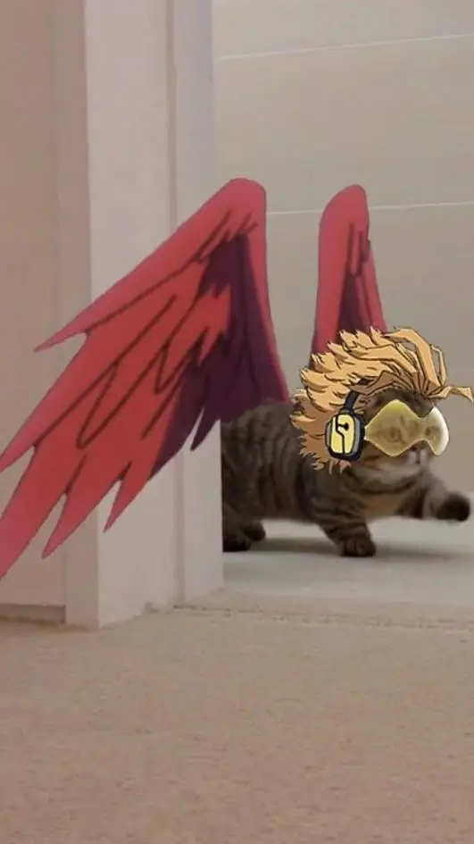 ai character: gatito hawks  background