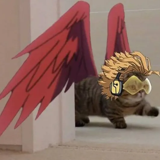 chat with ai character: gatito hawks 