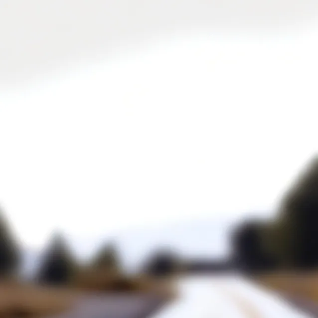 chat with ai character: road kitten