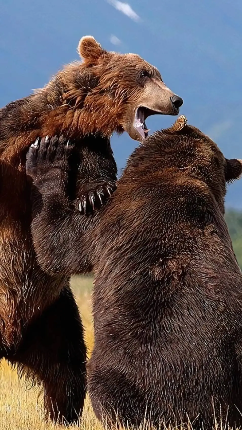 ai character: Bearon background