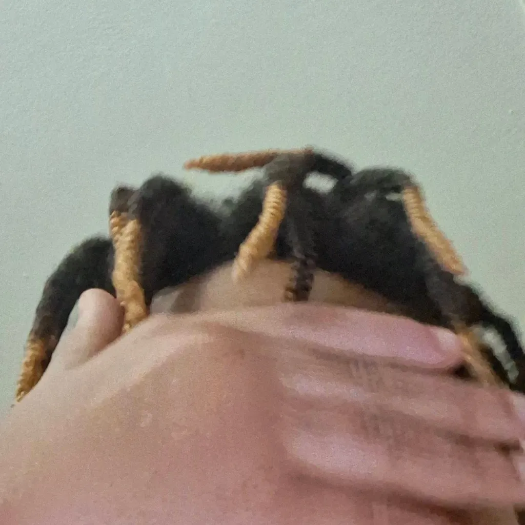 chat with ai character: this what i look