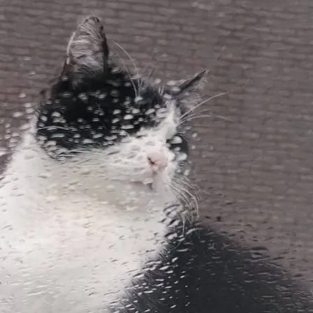 chat with ai character: fake mıncır 