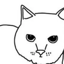 chat with ai character: UIA CAT canta