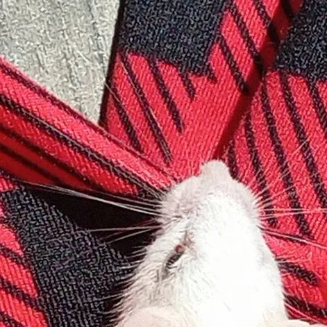 chat with ai character: JOSEPHINE 